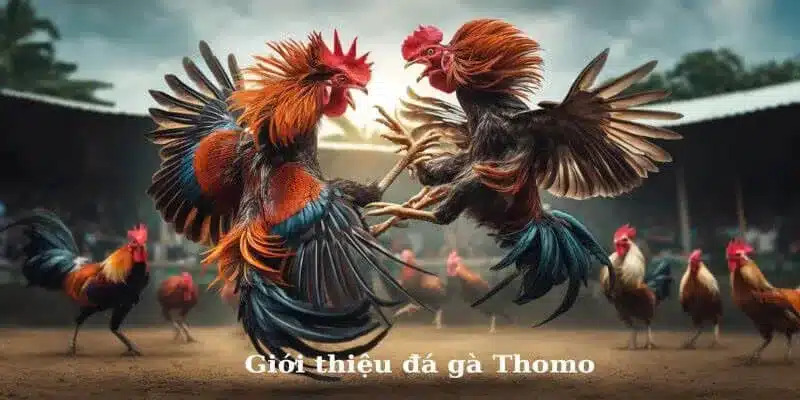 Những bài học từ thất bại Những bài học từ thất bại